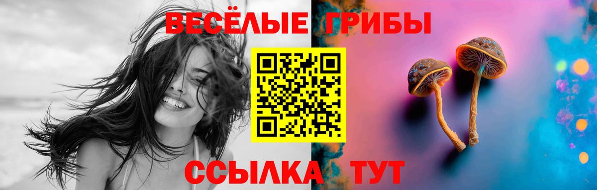 Псилоцибиновые грибы Psilocybine cubensis  Вход с VPN  Екатеринбург 